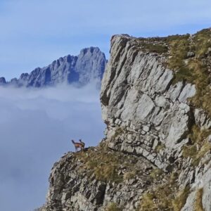 Ascension à Peña Santa par la voie normale